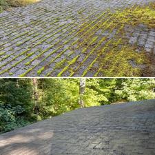 Safe-and-Effective-Roof-Cleaning-and-Treating-in-Portland-Oregon 0