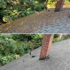 Safe-and-Effective-Roof-Cleaning-and-Treating-in-Portland-Oregon 2